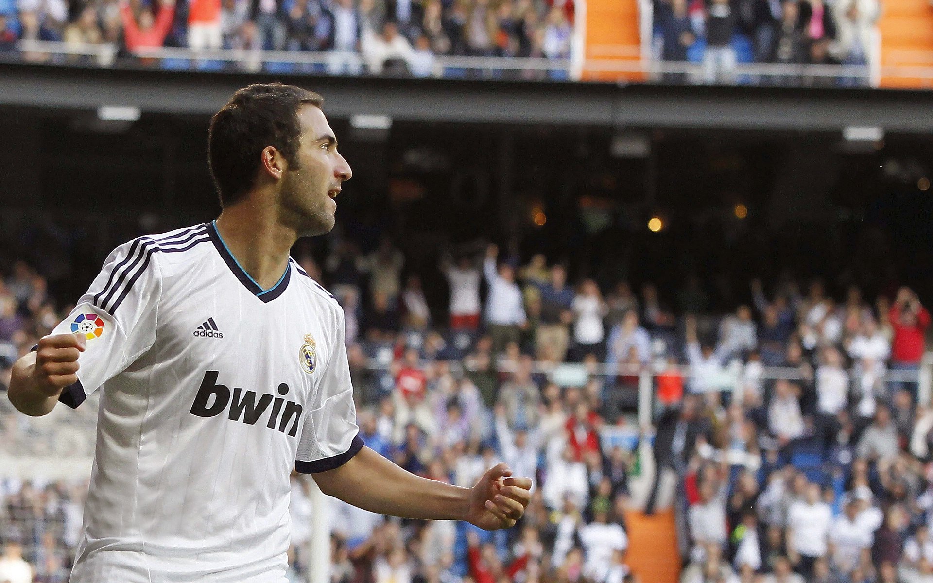 哈利伯顿魔法撕裂铁血防线，当森林狼的利齿遇上辽宁的坚盾